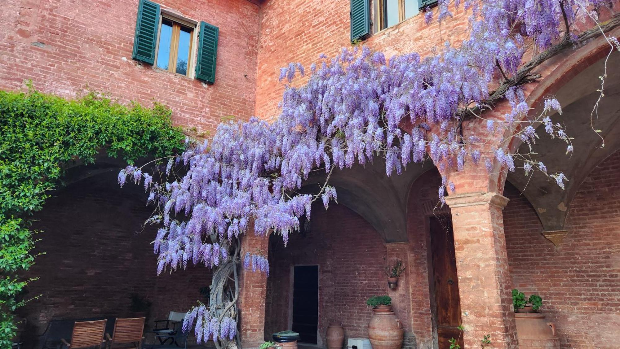 Al Glicine Di Sant'Abondio Villa เซียนา ภายนอก รูปภาพ